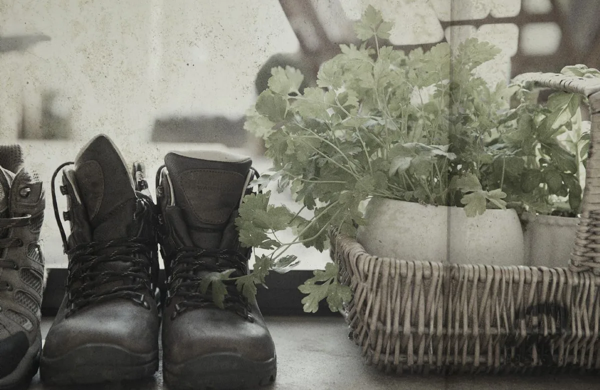 Boots and foliage arranged inside the cottage